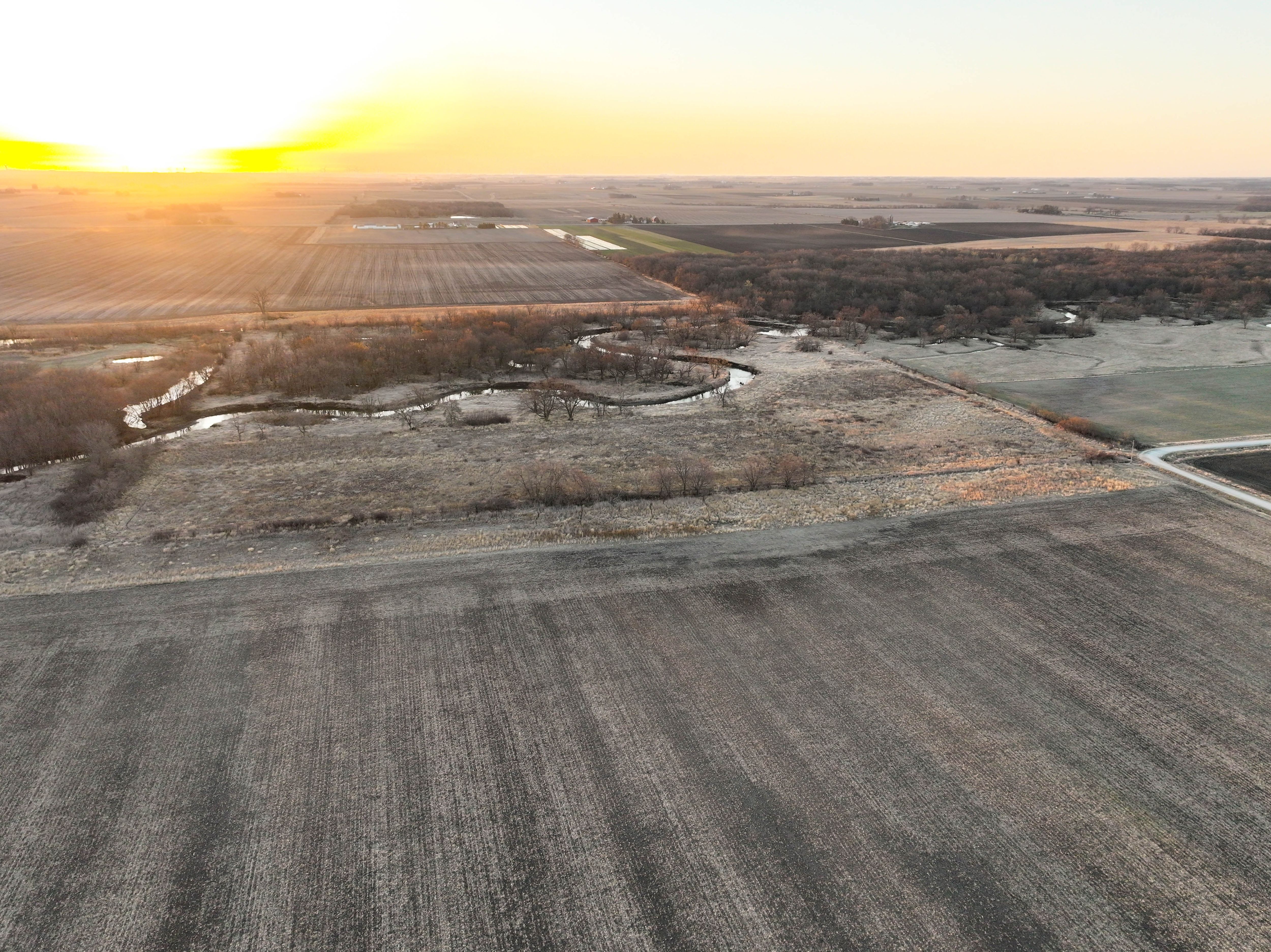 Listing Photo: 47_Chickasaw County 40 acre CRP Farm